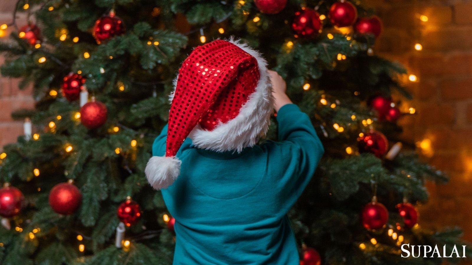 ไอเดียแต่งบ้านต้อนรับ Christmas ชวนคนที่บ้านมาแต่งต้นคริสต์มาสกัน-จัดเมื่อไหร่.jpg